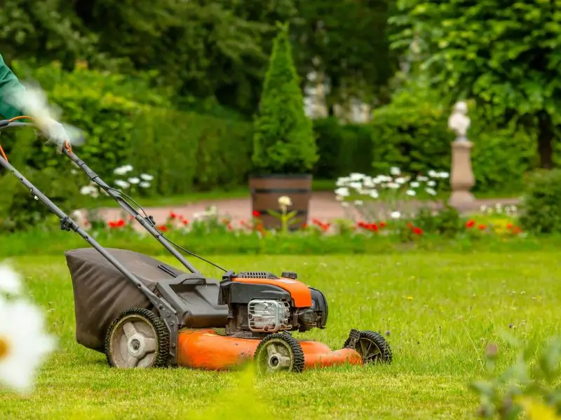 Lawn Care Services in Port St. Lucie