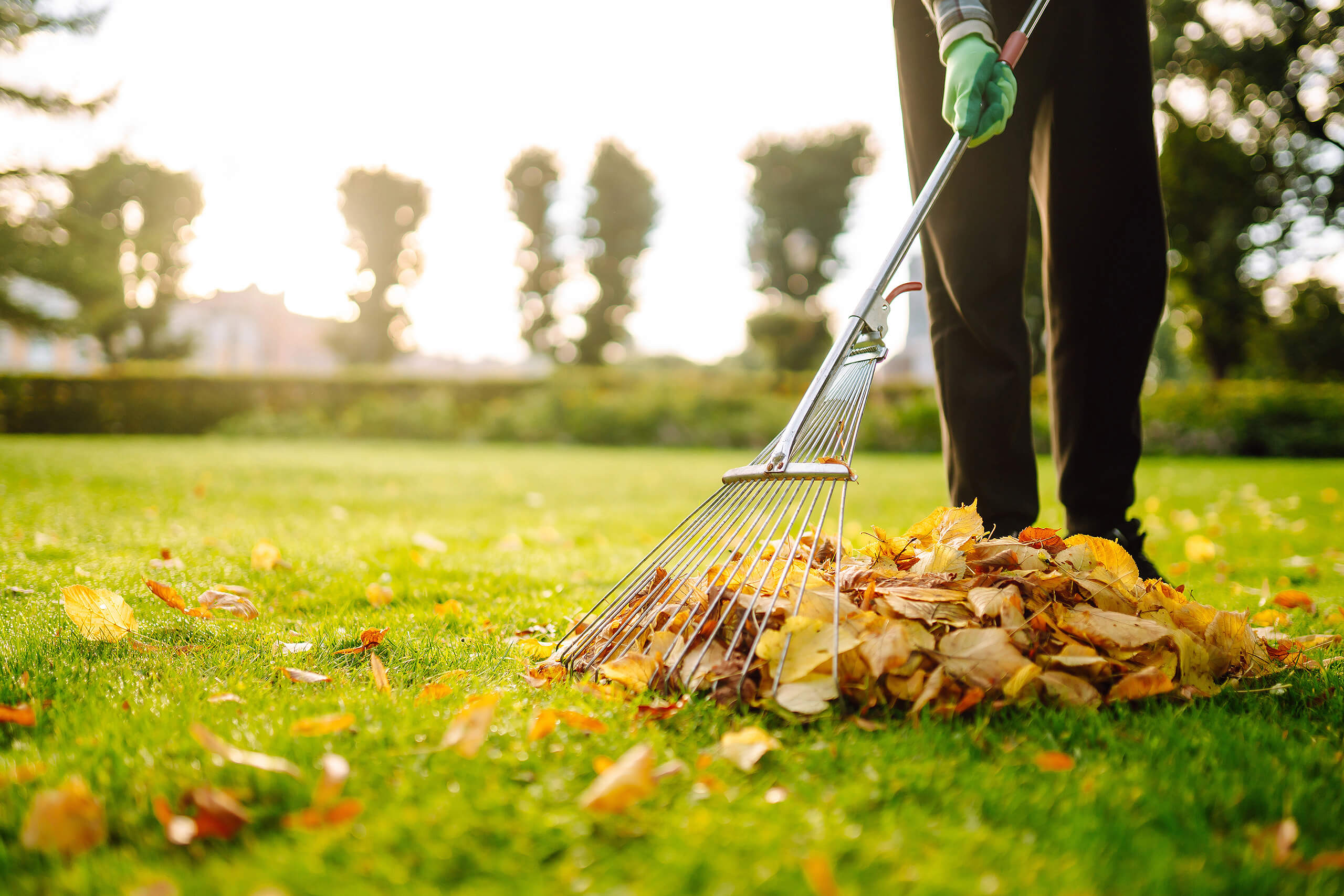 Spring and Fall Cleanups