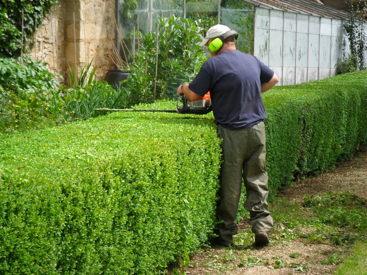 Routine Edging and Mowing