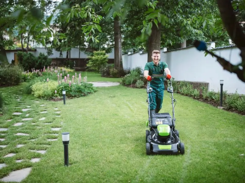 Lawn Care Services