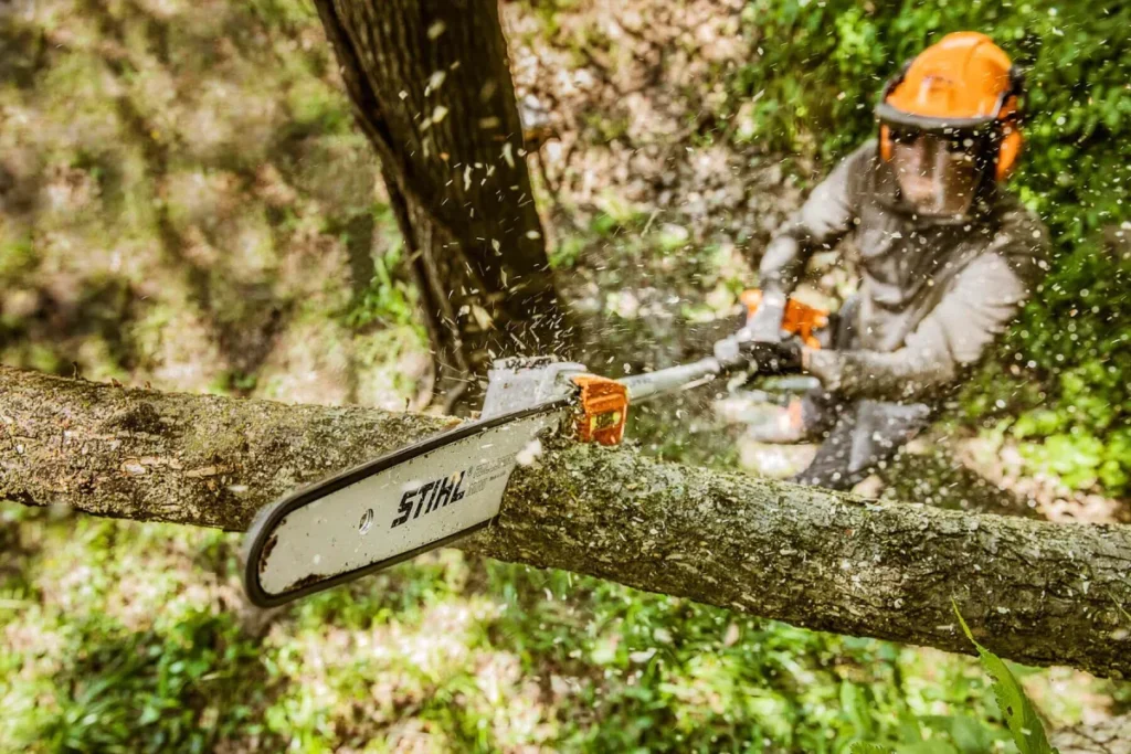 Tree Trimming Services